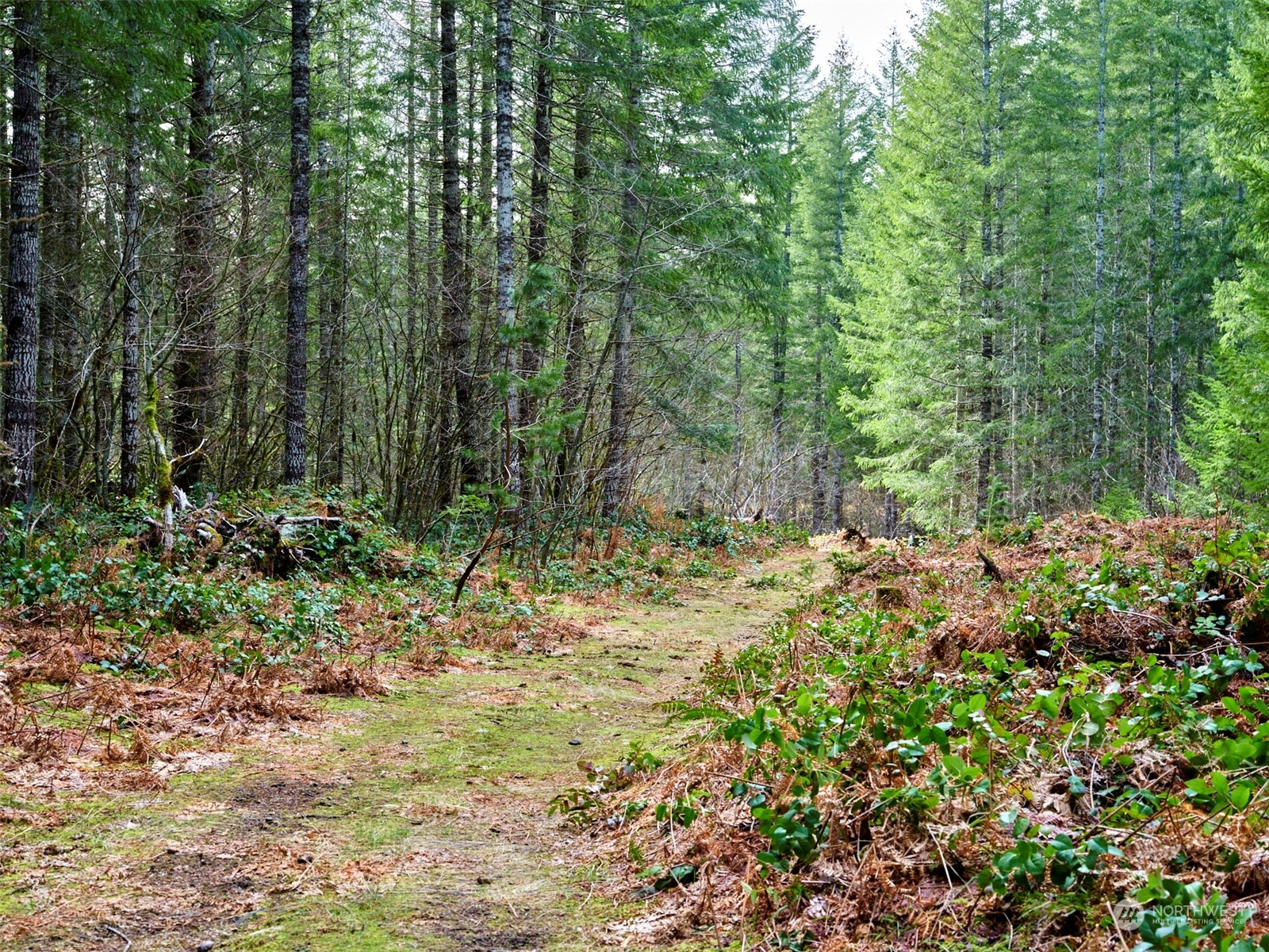 3 Lahar Lane Property Photo 14
