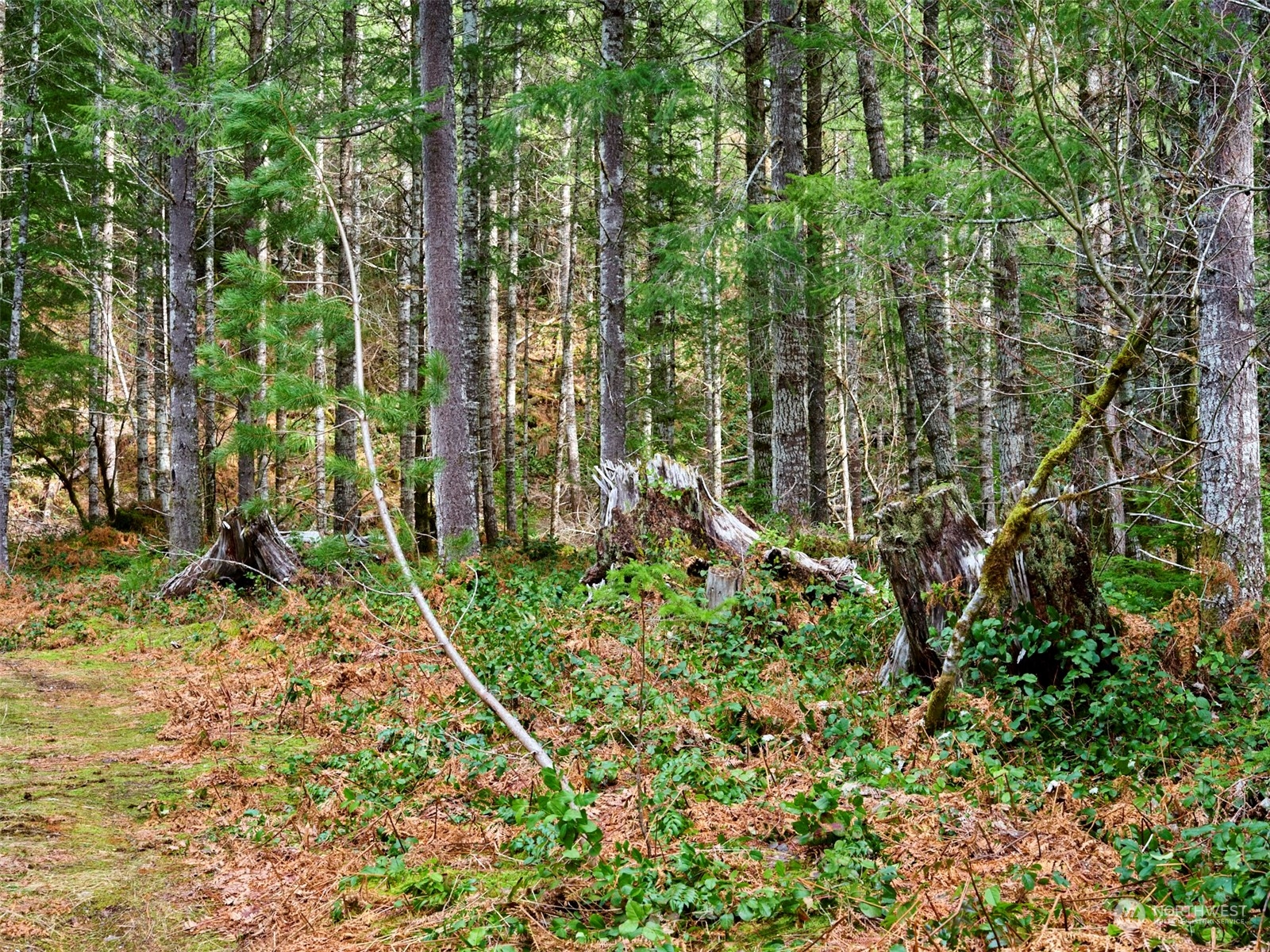 3 Lahar Lane Property Photo 16