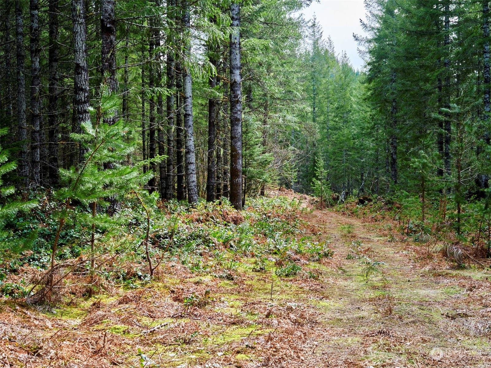 3 Lahar Lane Property Photo 17
