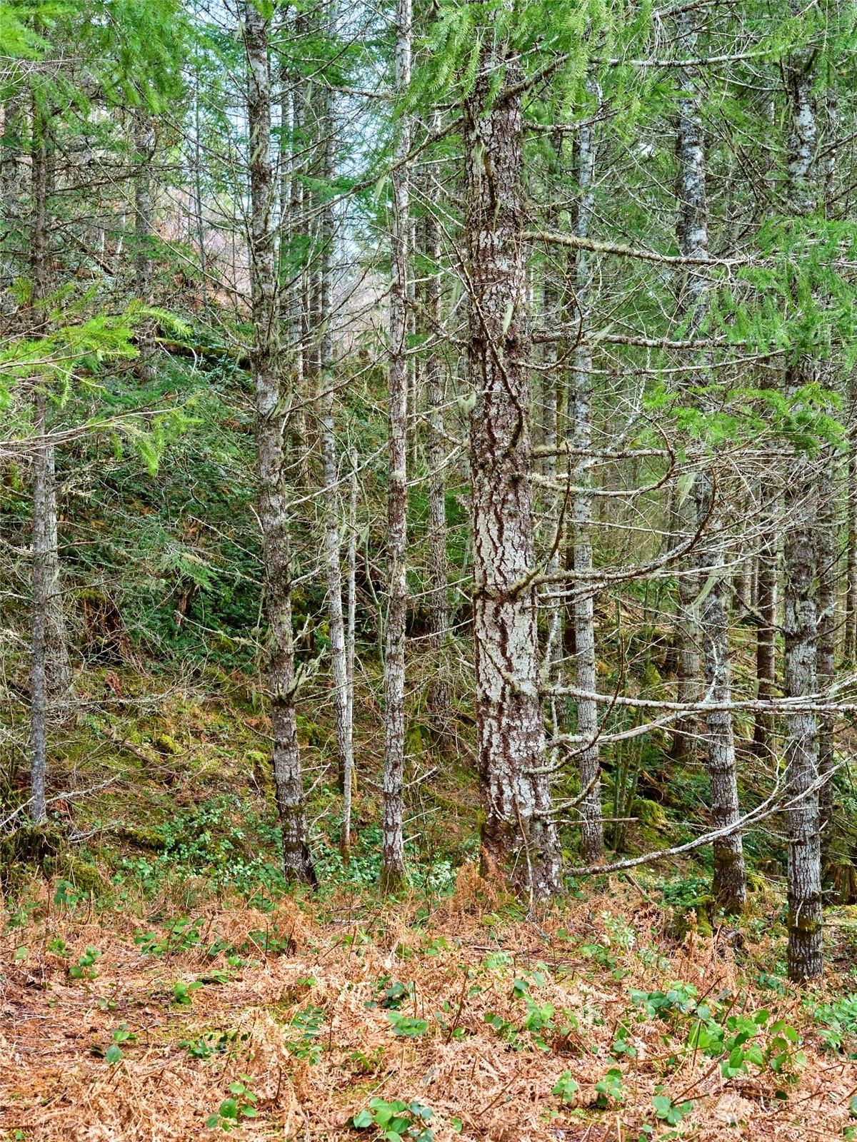 3 Lahar Lane Property Photo 18