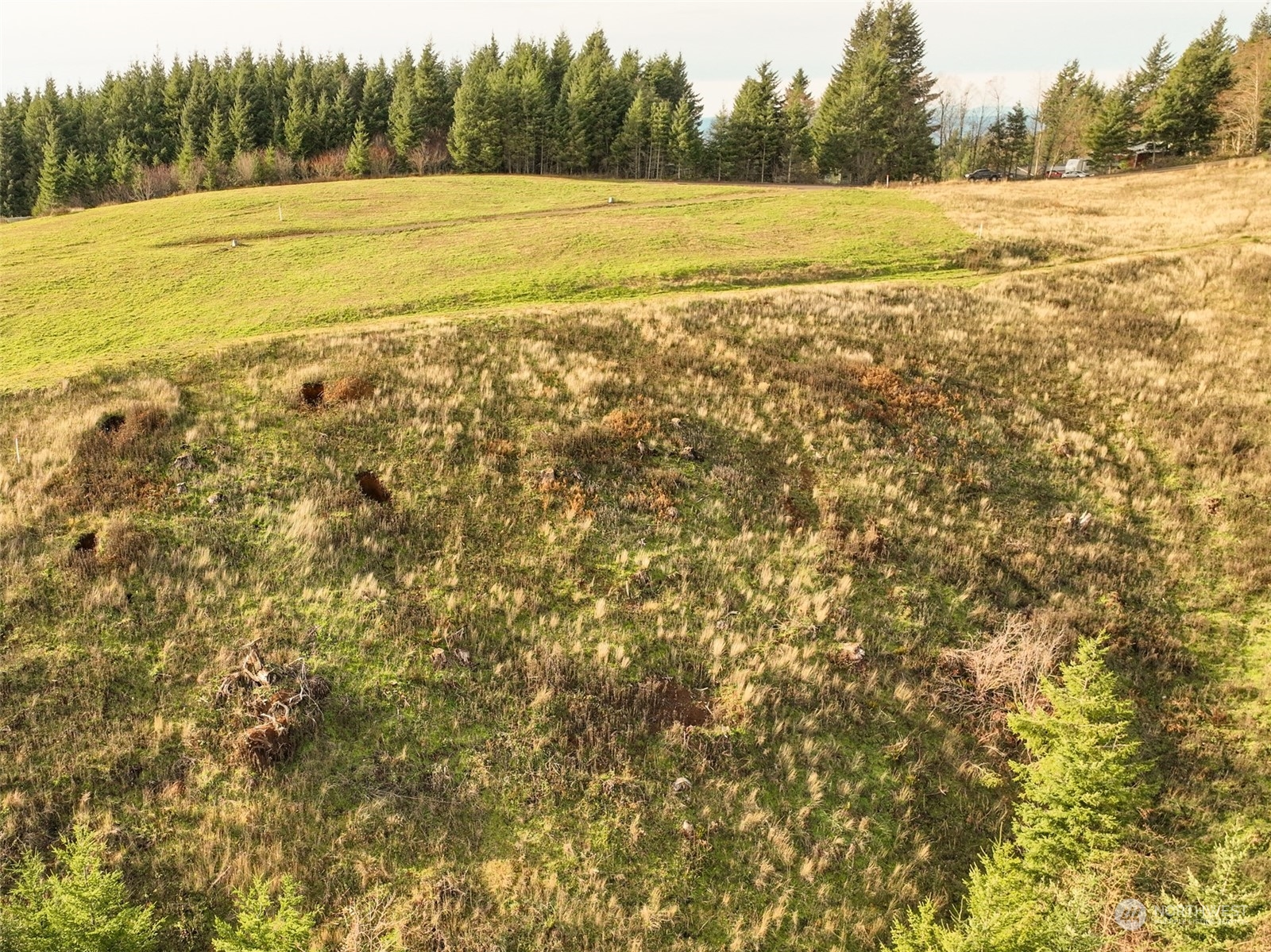 0 Cascadia Lane Property Photo 10