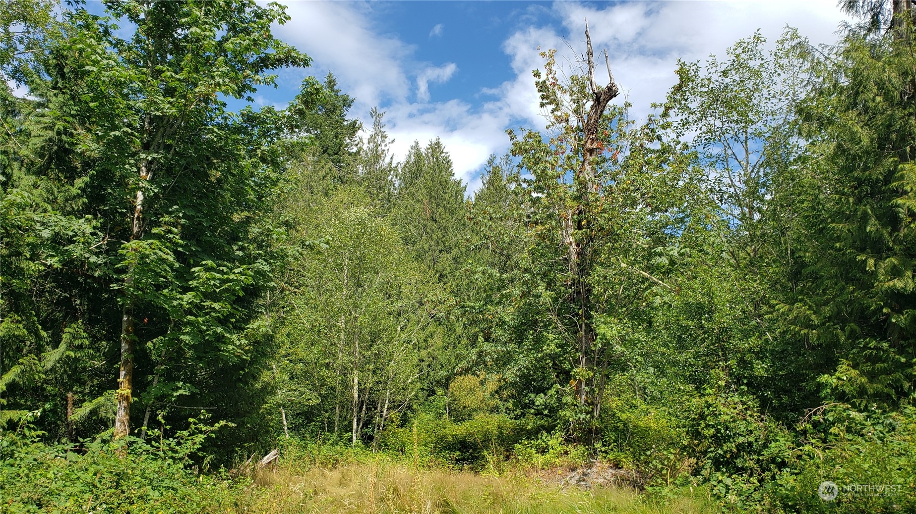 2105 Baby Doll Road Property Photo 3