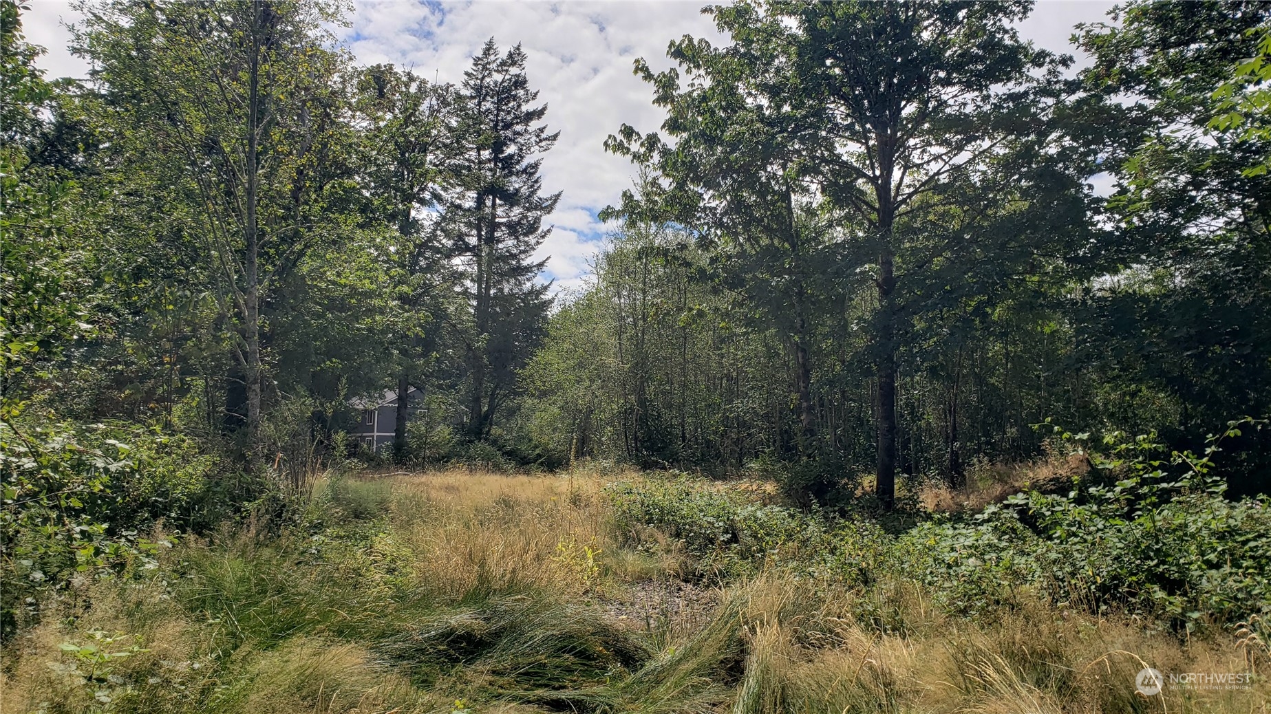 2105 Baby Doll Road Property Photo 4