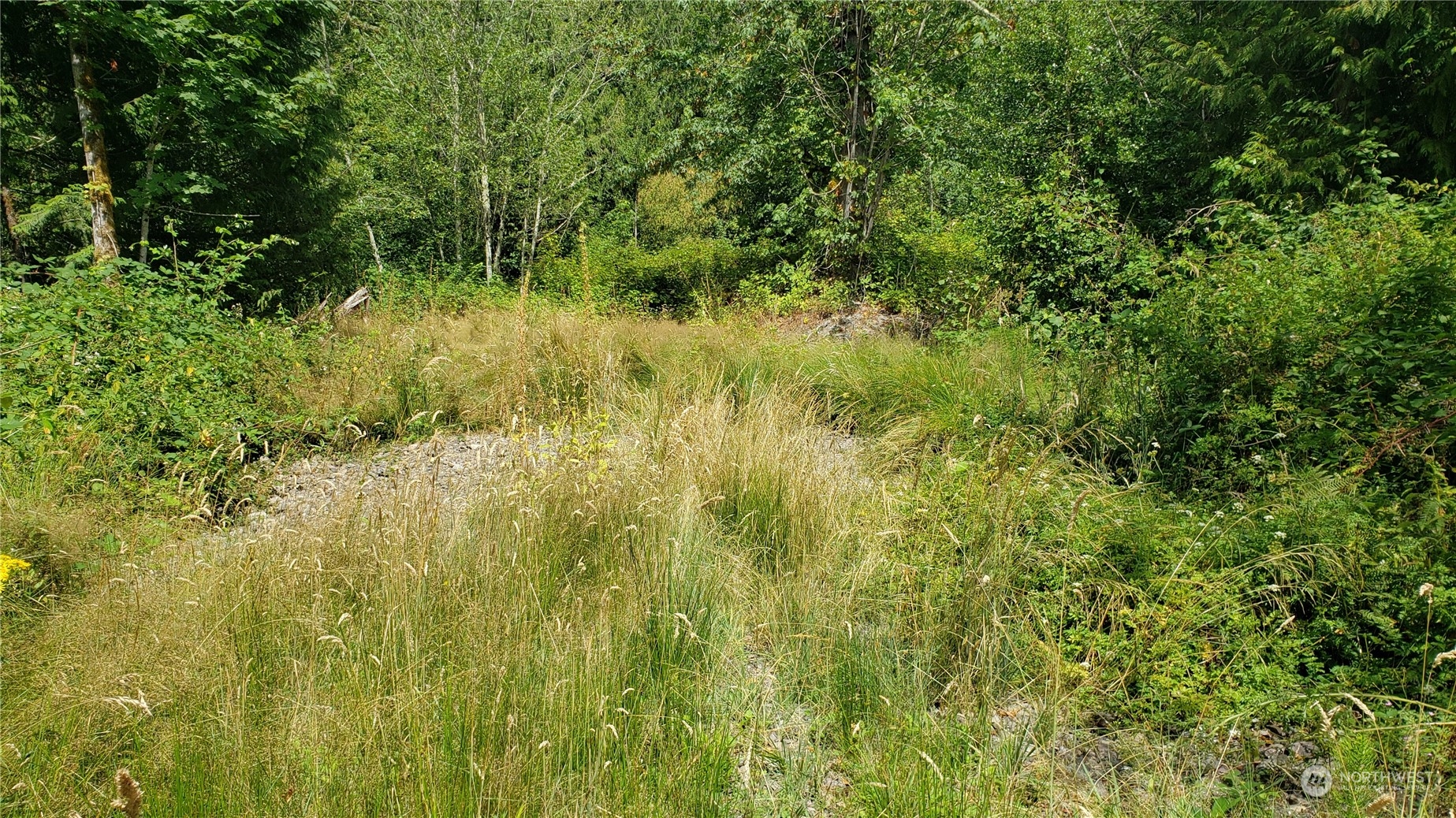2105 Baby Doll Road Property Photo 5