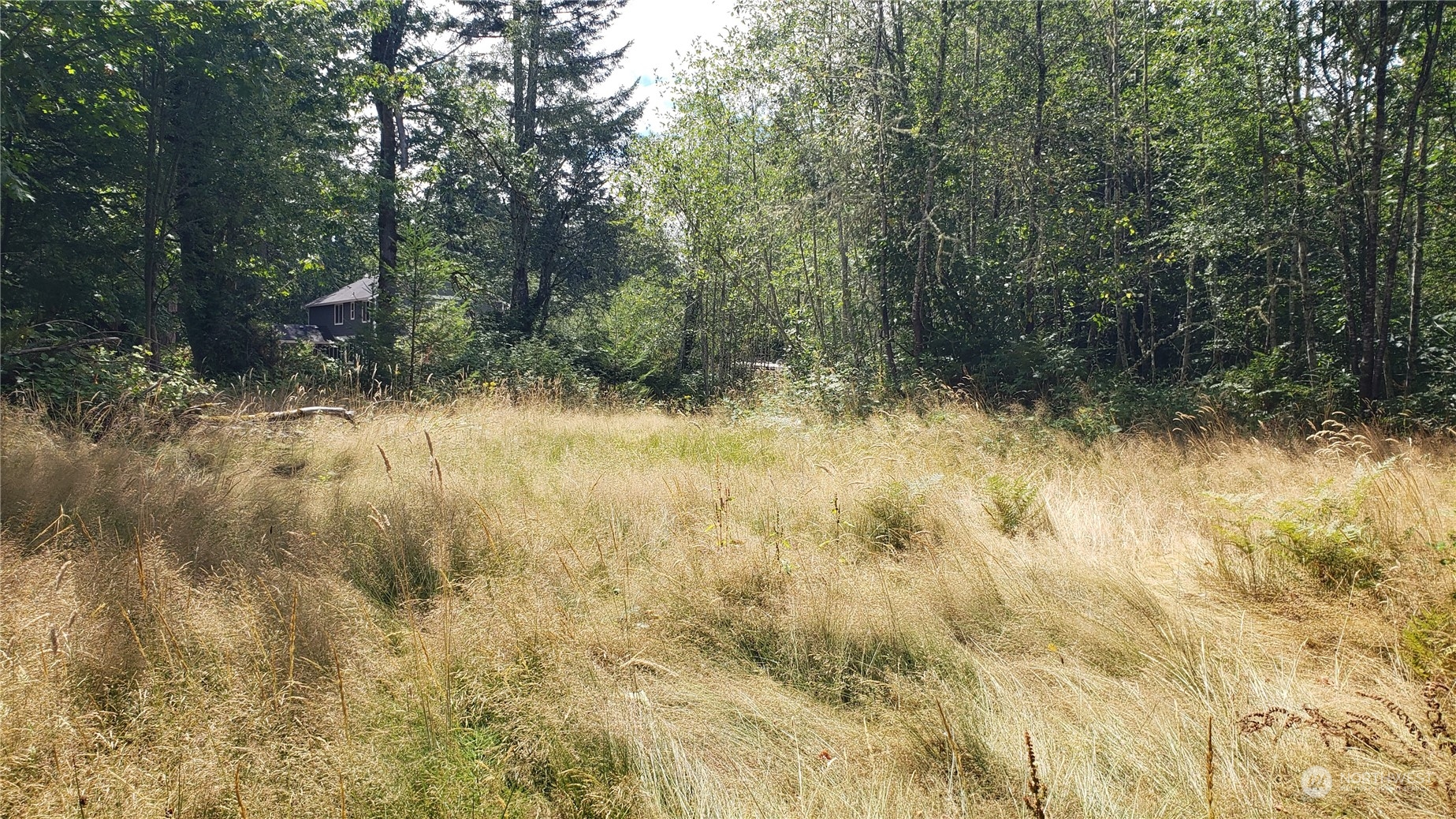 2105 Baby Doll Road Property Photo 6