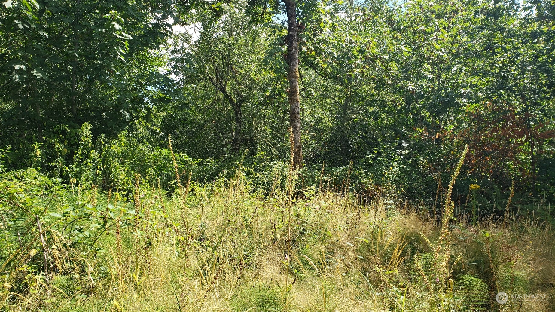 2105 Baby Doll Road Property Photo 7