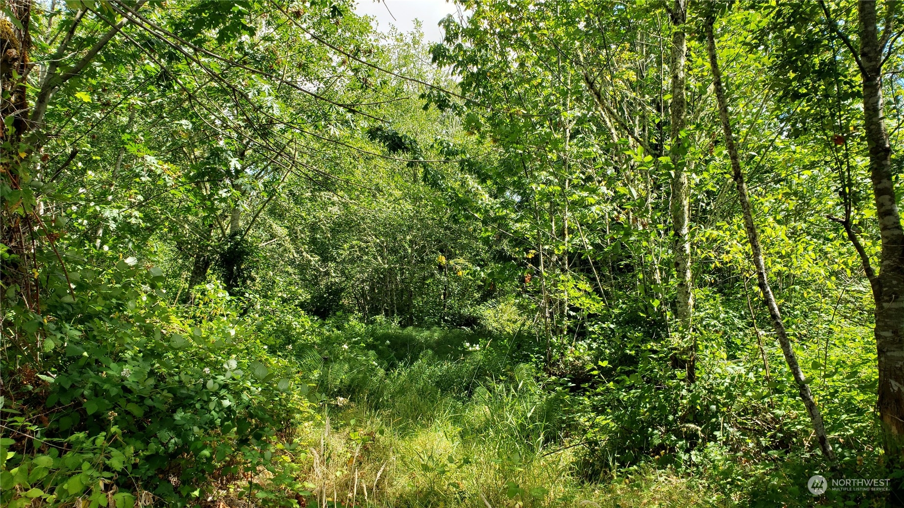 2105 Baby Doll Road Property Photo 8