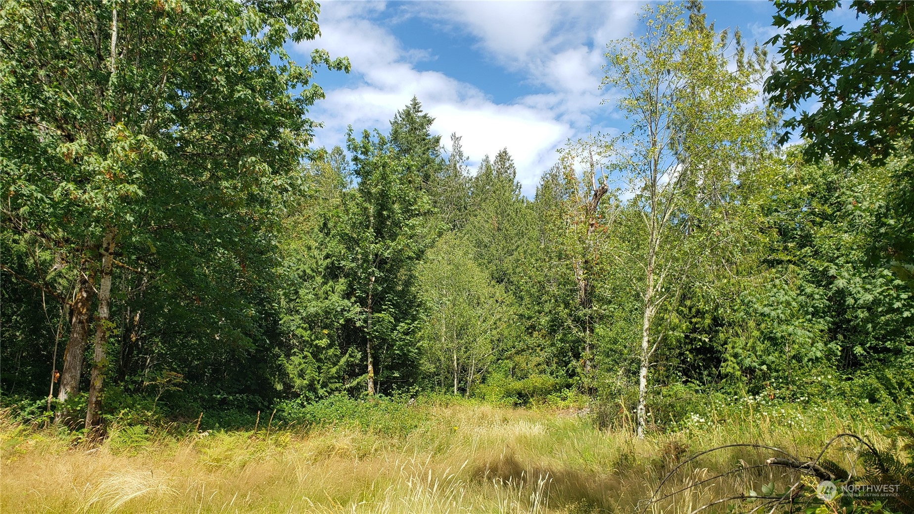 2105 Baby Doll Road Property Photo 9