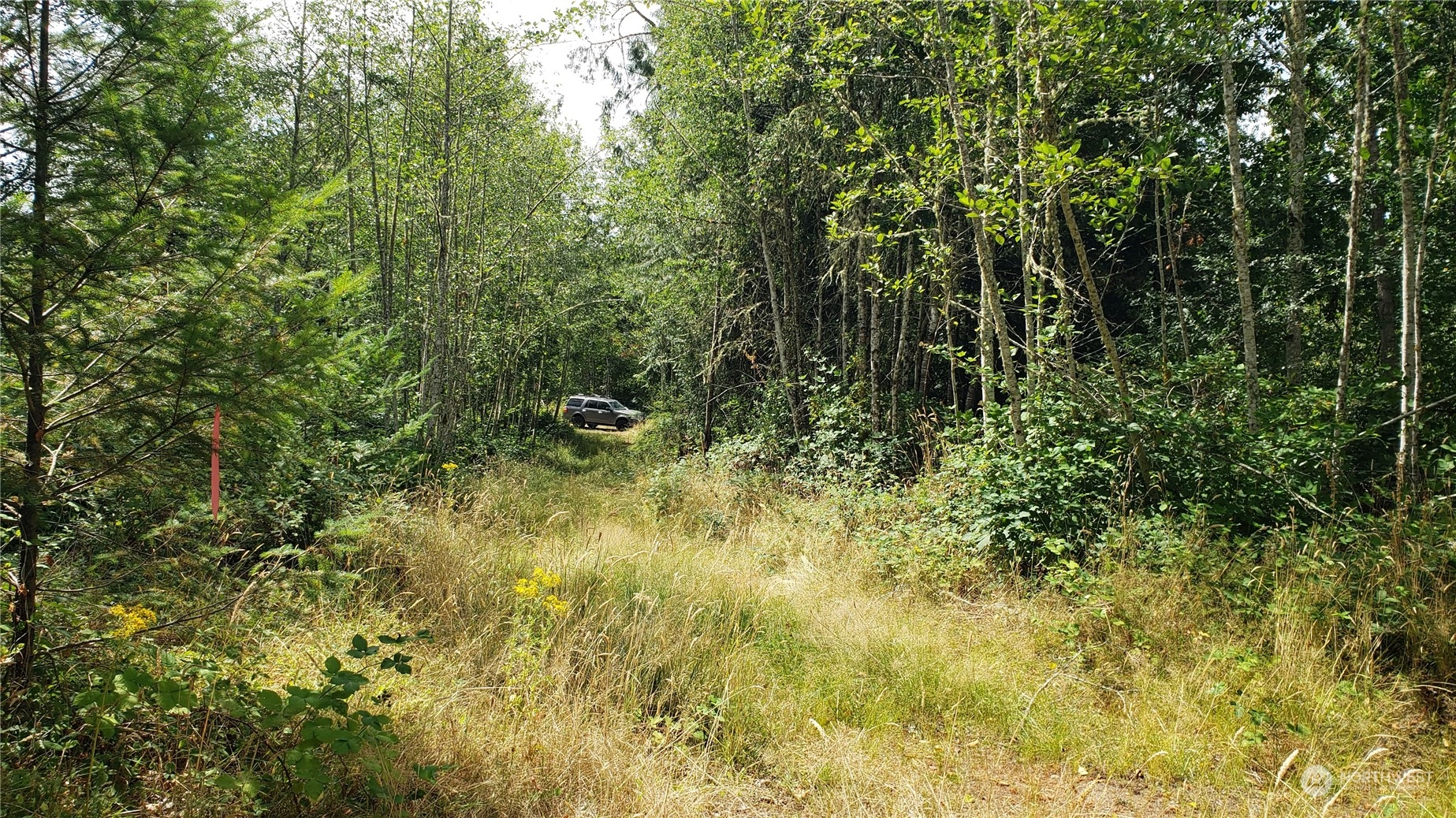 2105 Baby Doll Road Property Photo 10