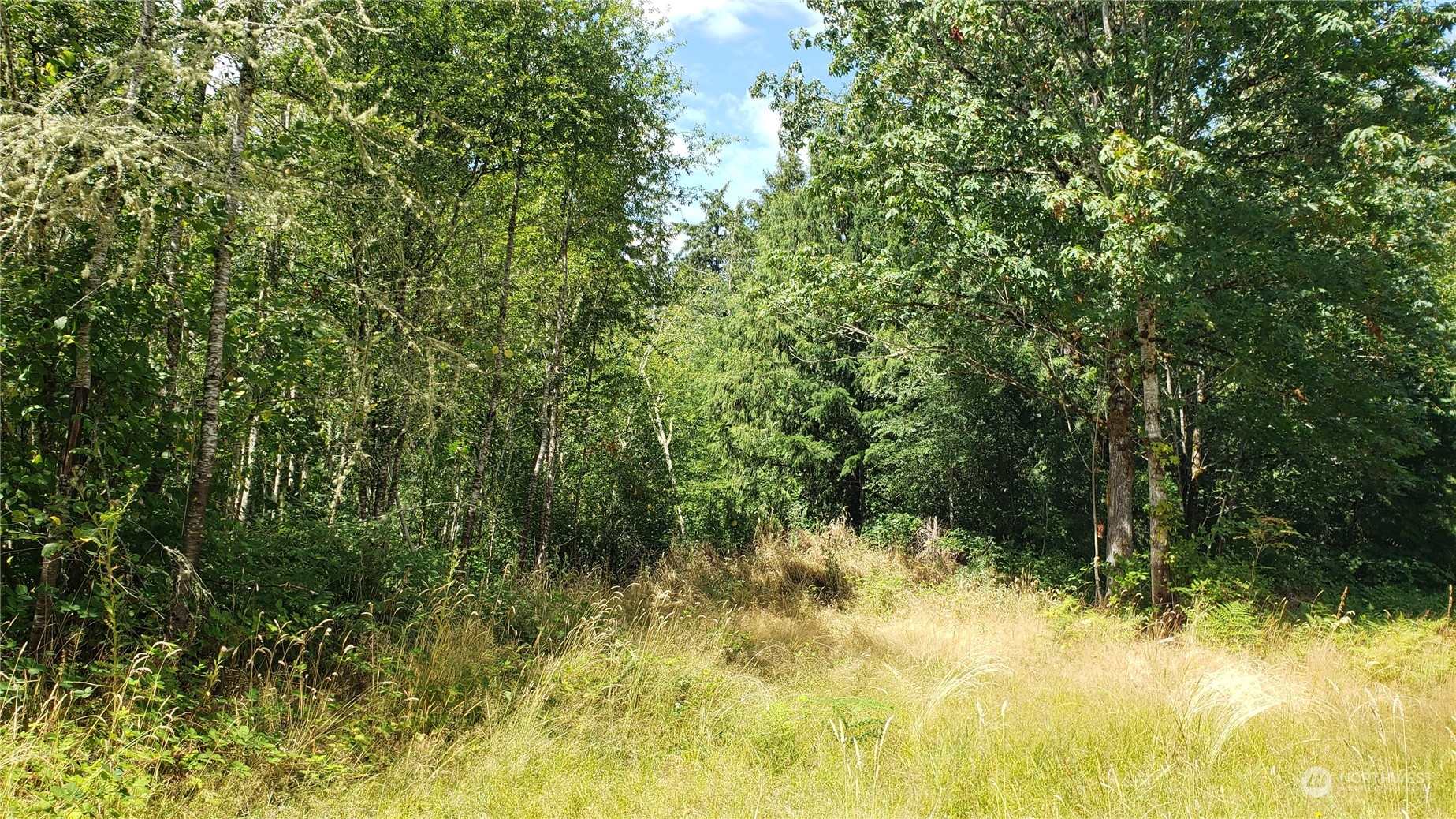 2105 Baby Doll Road Property Photo 11