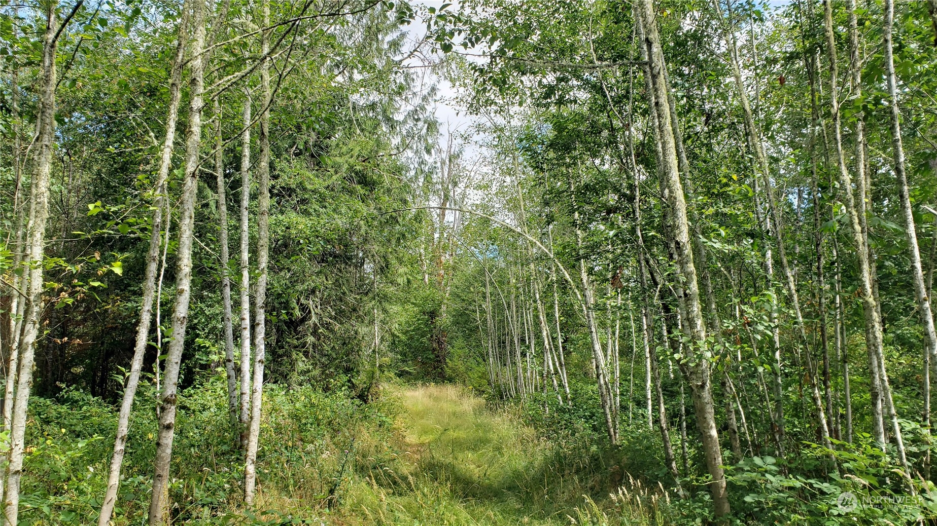 2105 Baby Doll Road Property Photo 12