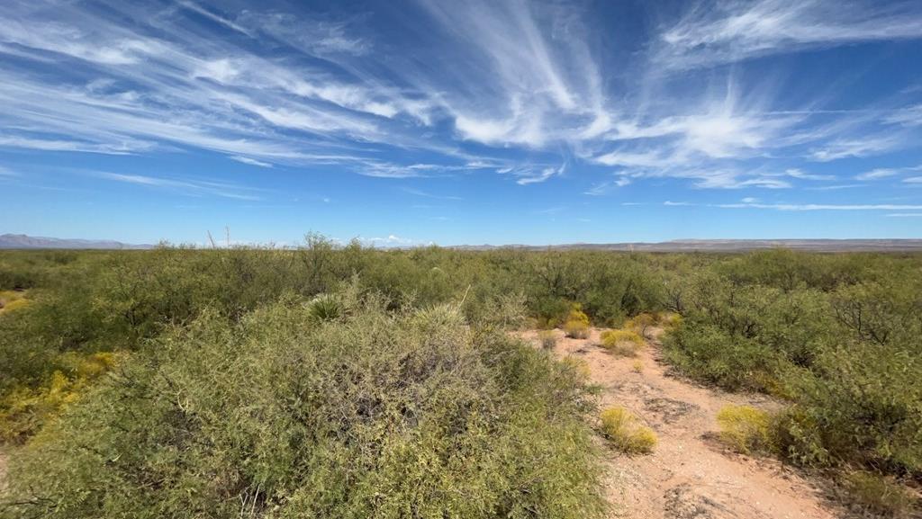 Tbd John Conoly Rd Property Photo 7