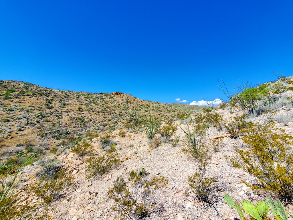 26319 Private Rd Property Photo 15