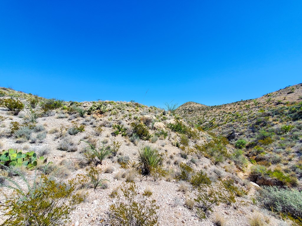 26319 Private Rd Property Photo 17
