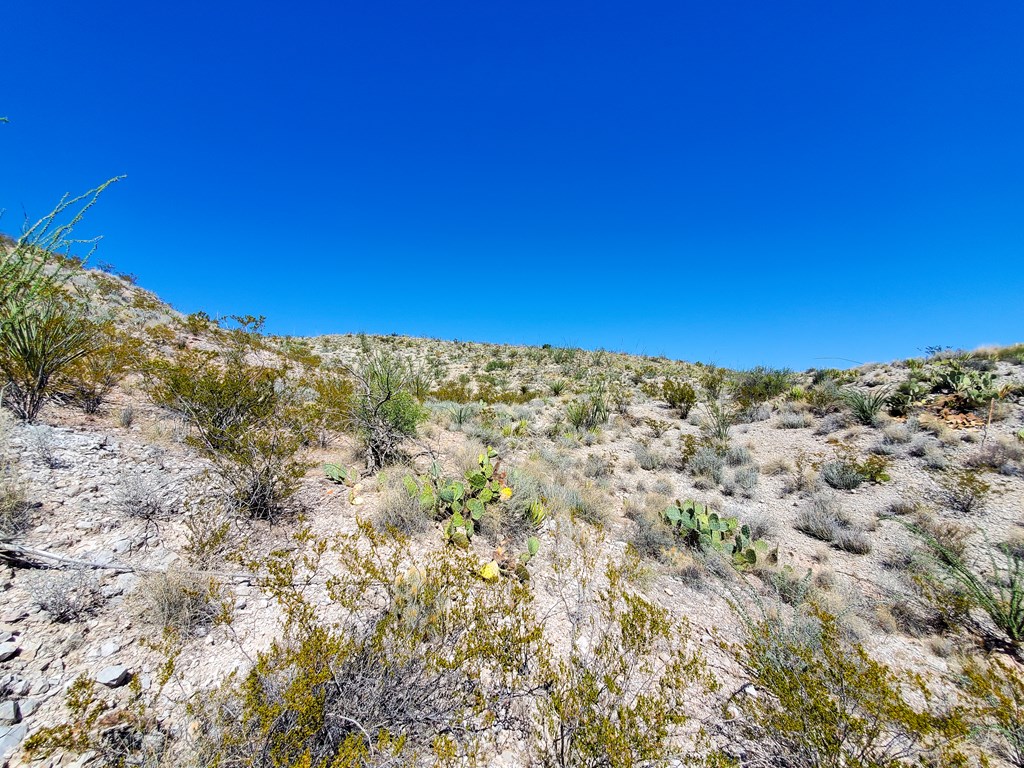 26319 Private Rd Property Photo 18