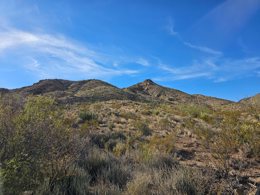 83d Gate 2 Road Property Photo 18