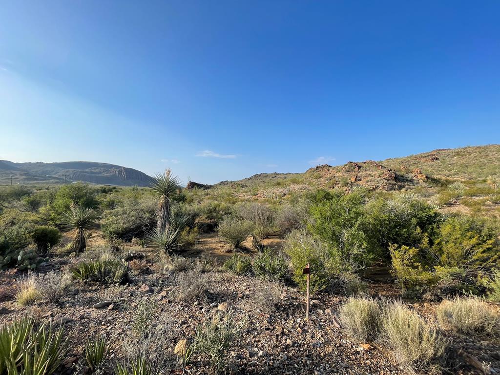Tr 1501 S Hwy 118 Property Photo 2
