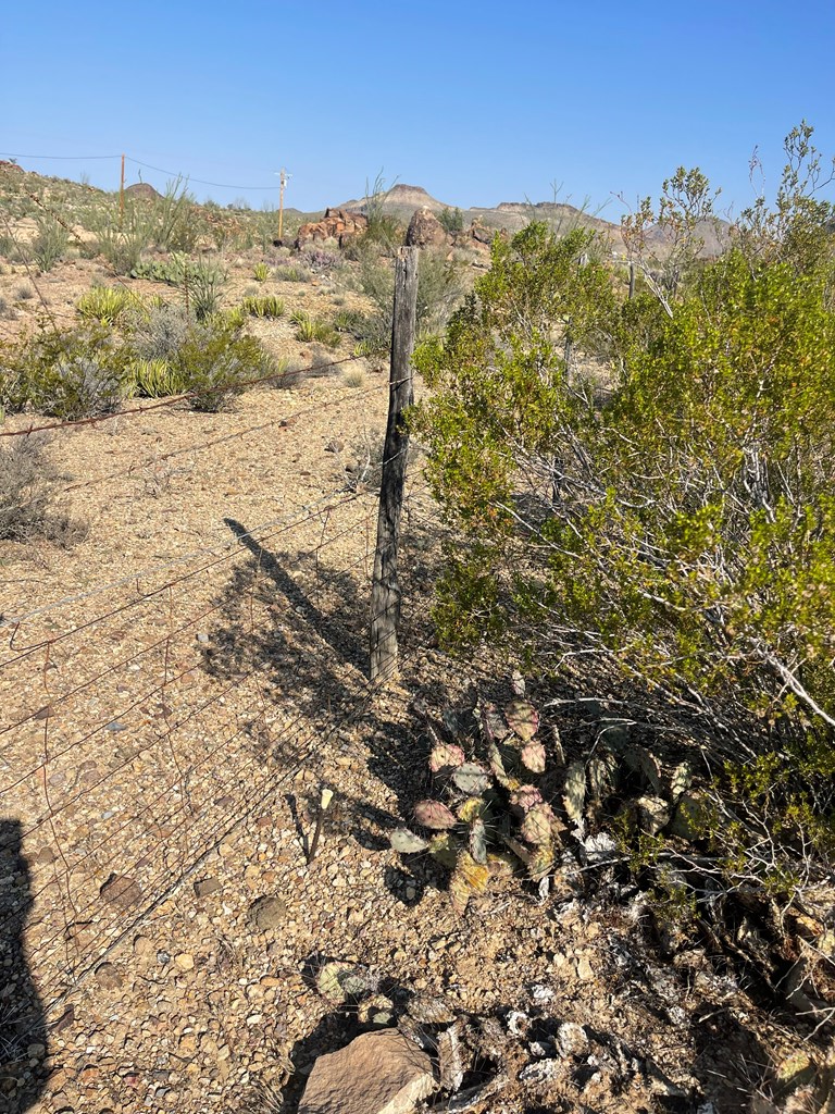 Tr 1501 S Hwy 118 Property Photo 6