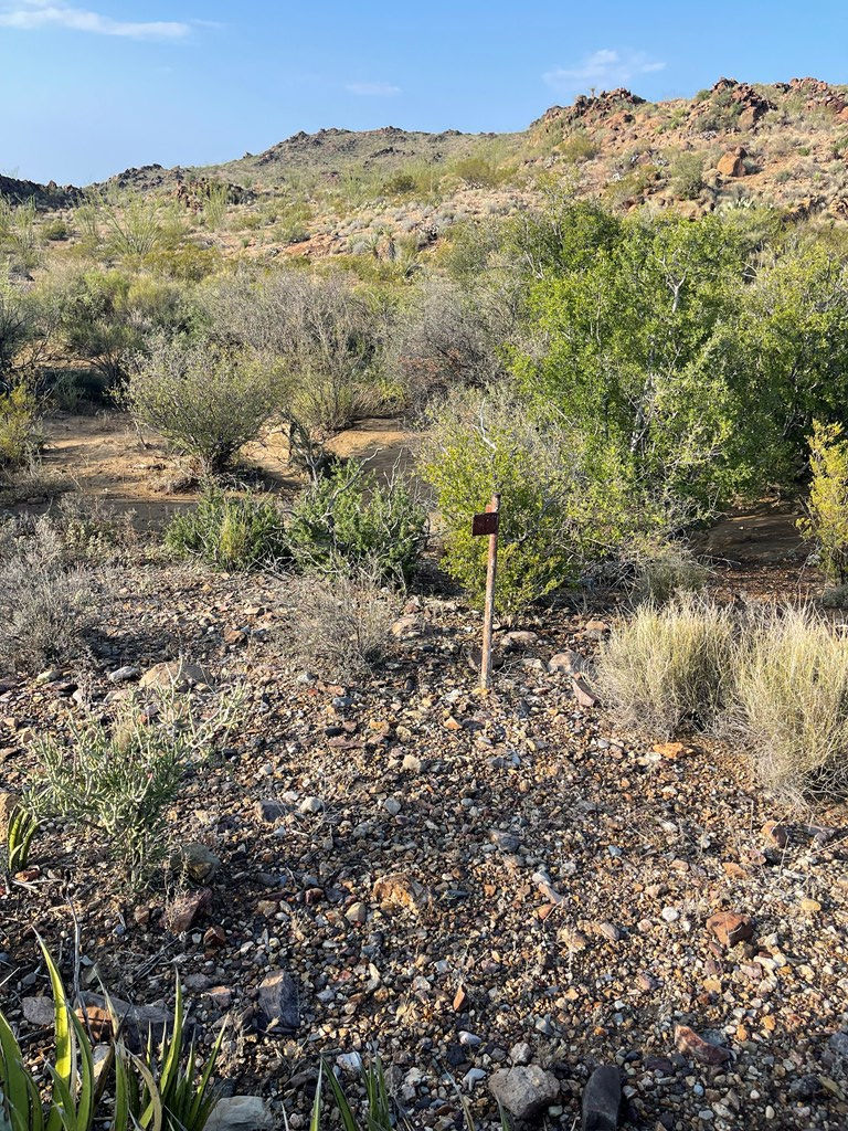 Tr 1501 S Hwy 118 Property Photo 11