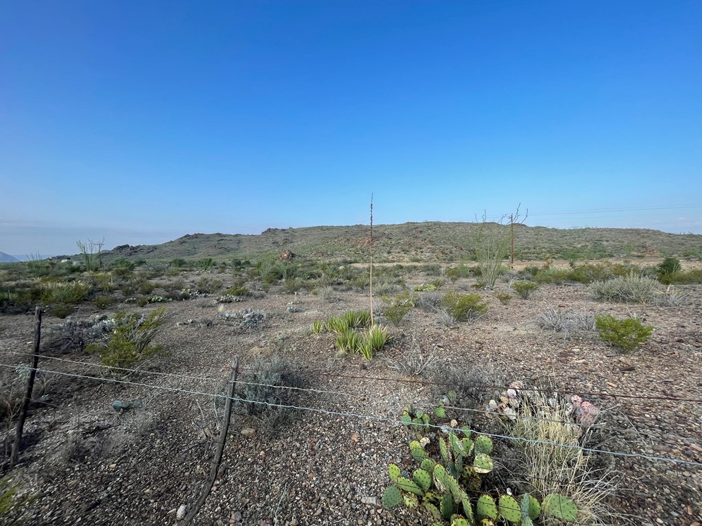 Tr 1501 S Hwy 118 Property Photo 12