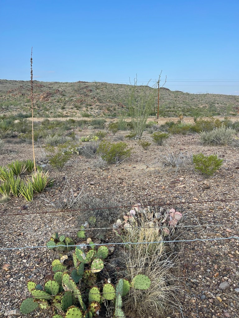 Tr 1501 S Hwy 118 Property Photo 13