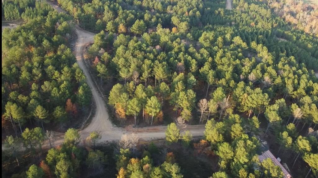 79 Turkey Roost Trail Property Photo 1