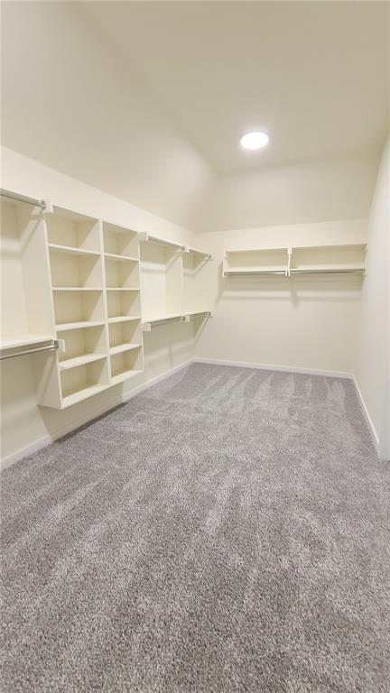 108 Tralee Court Property Photo 25