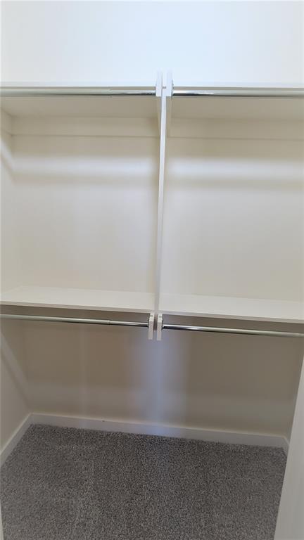 108 Tralee Court Property Photo 32
