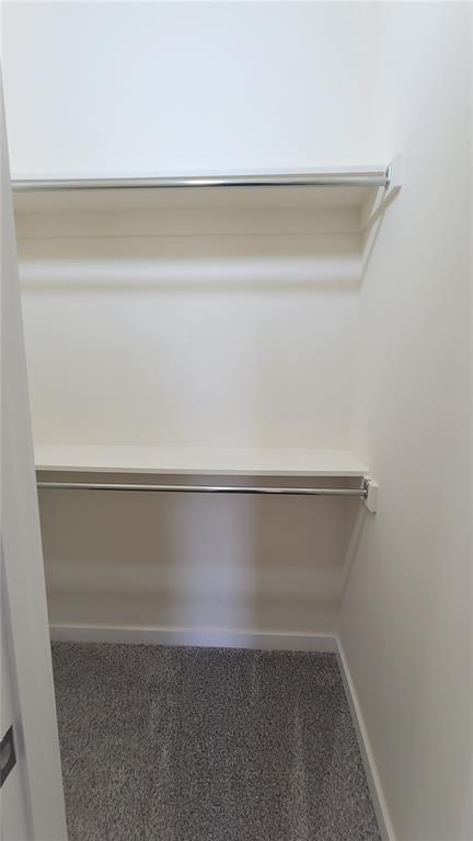 108 Tralee Court Property Photo 34