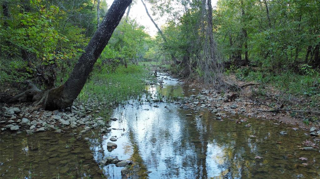 117 Hills Creek Property Photo 1