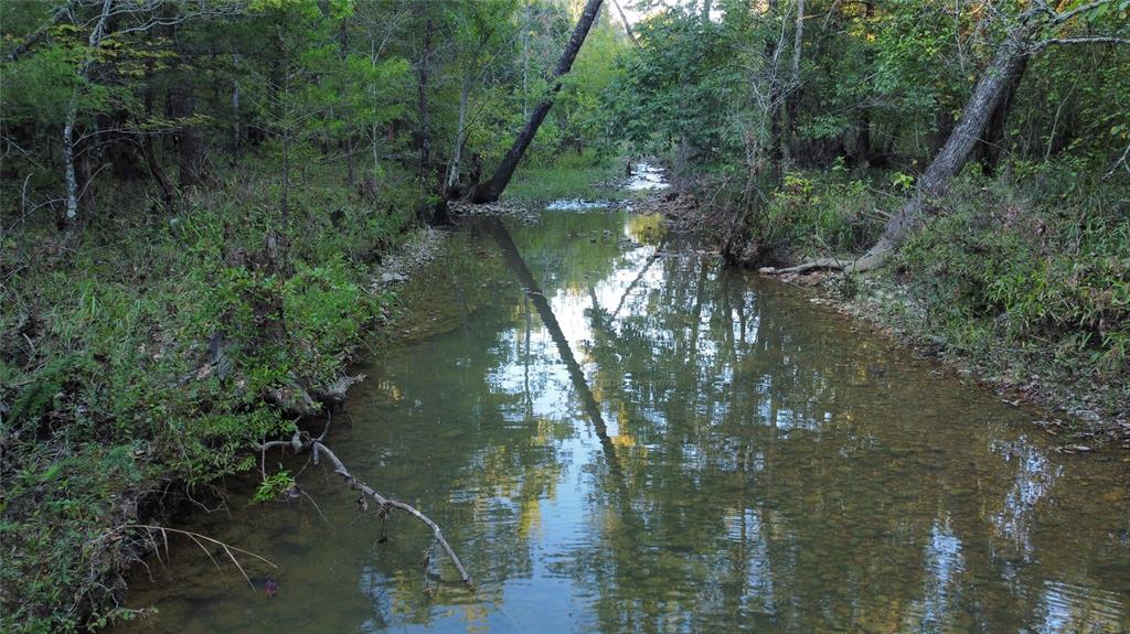 117 Hills Creek Property Photo 2