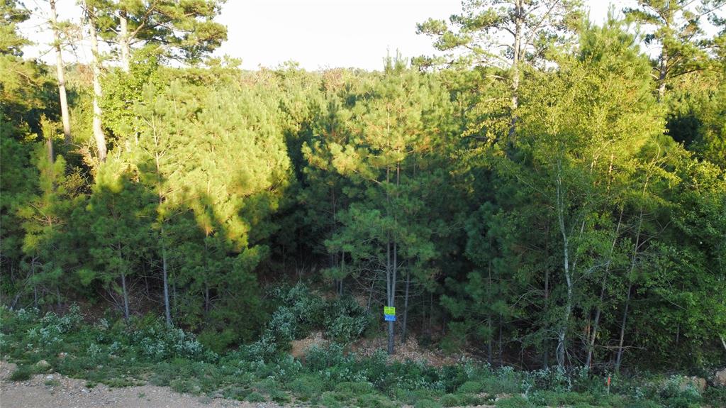 117 Hills Creek Property Photo 3