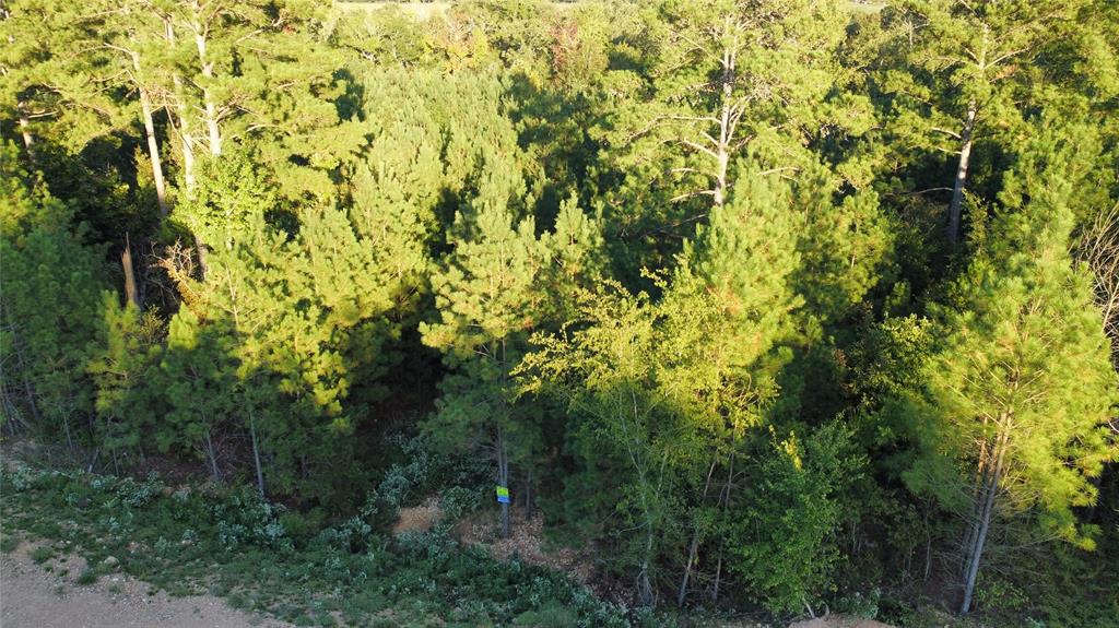 117 Hills Creek Property Photo 7