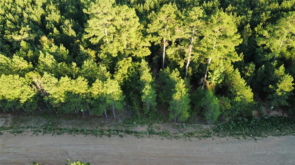 117 Hills Creek Property Photo 8
