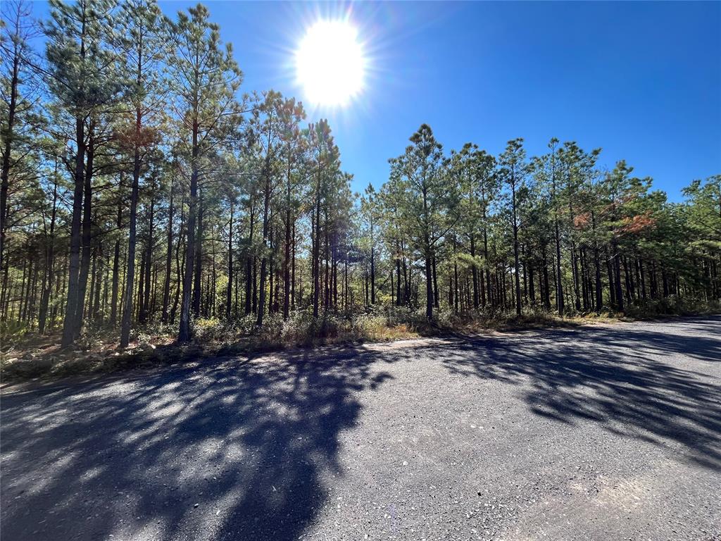 23 Carter Mountain West Property Photo