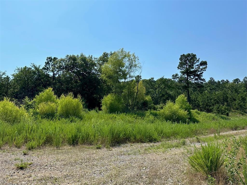 Lot 123 Pine Mt Ranch Property Photo