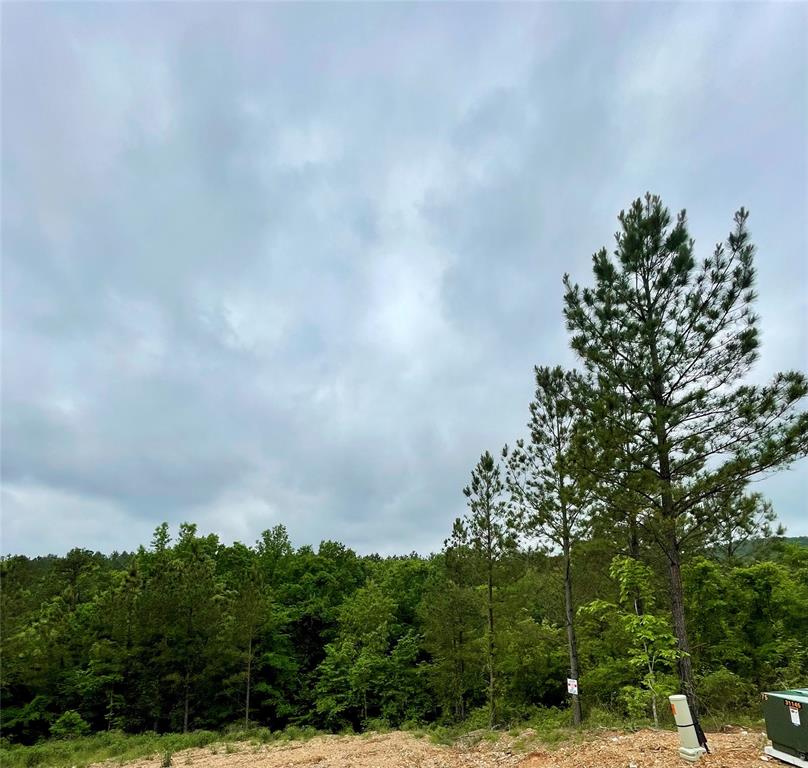 673 Timber Creek Trails South Xl Property Photo 1