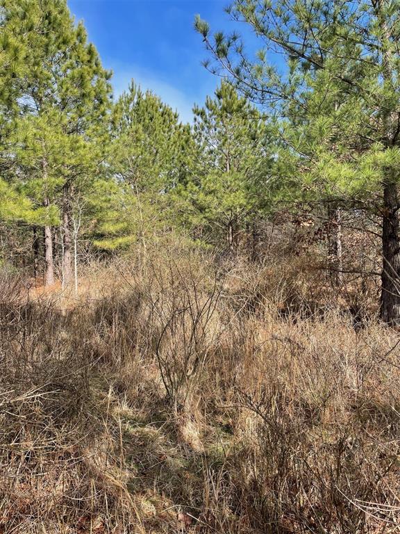 680 Timber Creek Trails South Xi Property Photo 1