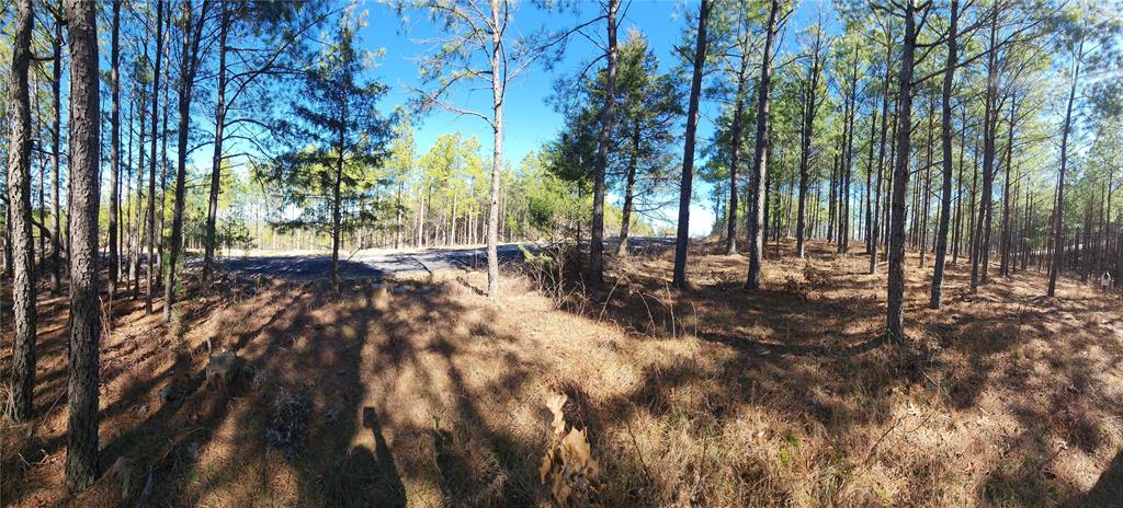 Timberline Trail Property Photo