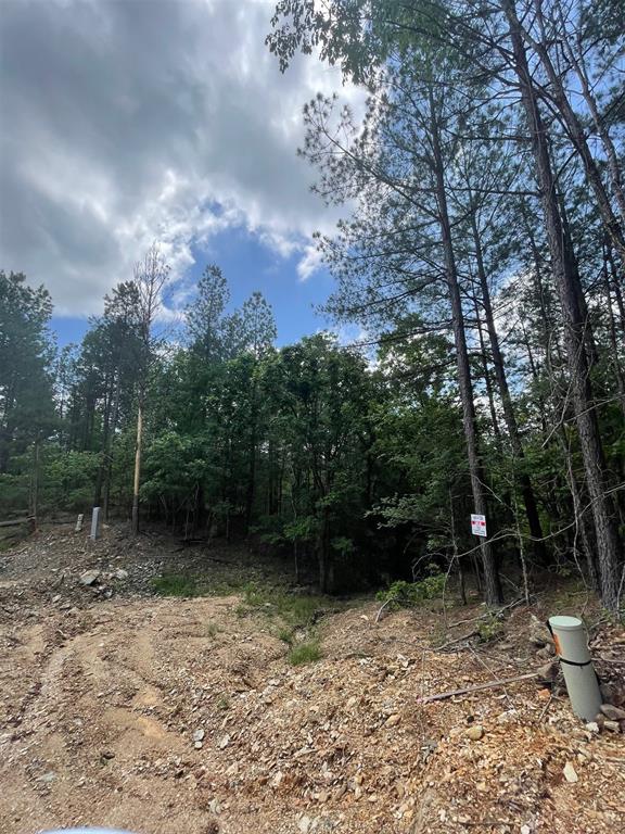 735 Timber Creek Trails South Xl Property Photo 1