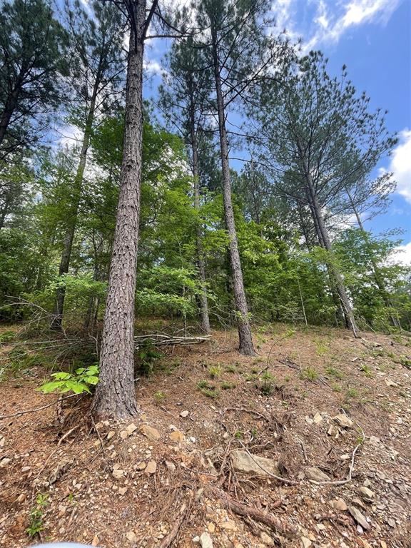 735 Timber Creek Trails South Xl Property Photo 3