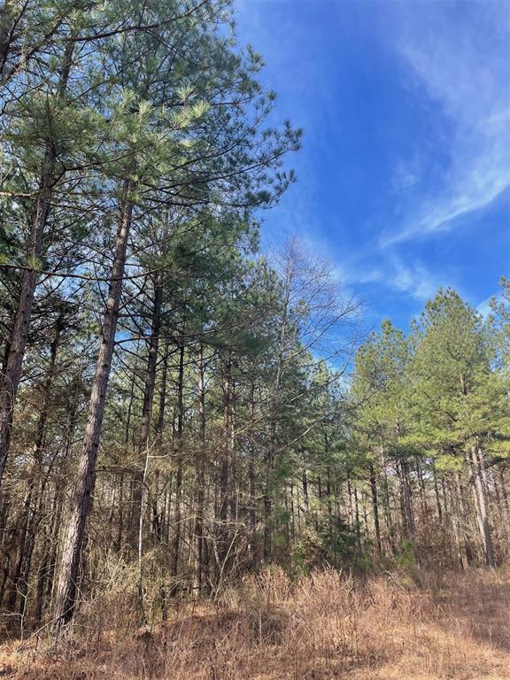 762 Timber Creek Trails South Xi Property Photo 1