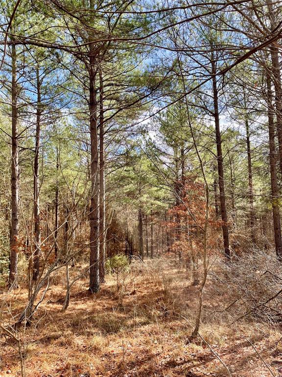 766 Timber Creek Trails South Xl Property Photo 2