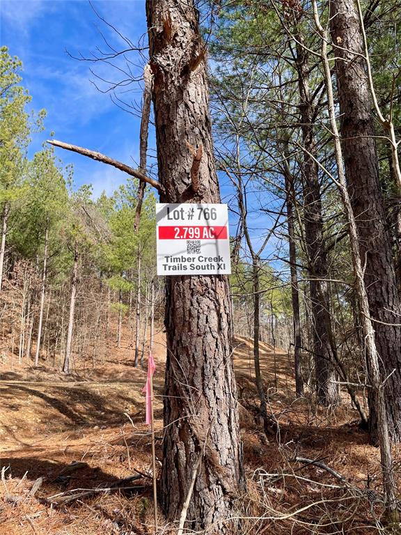 766 Timber Creek Trails South Xl Property Photo 3