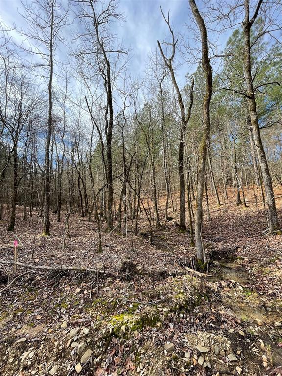 768 Timber Creek Trails South Xl Property Photo 1
