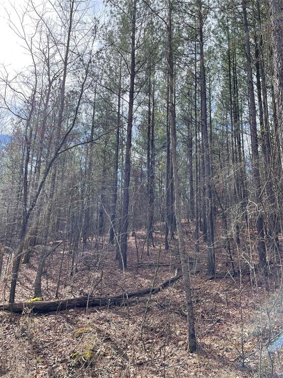 769 Timber Creek Trails South Xi Property Photo 1