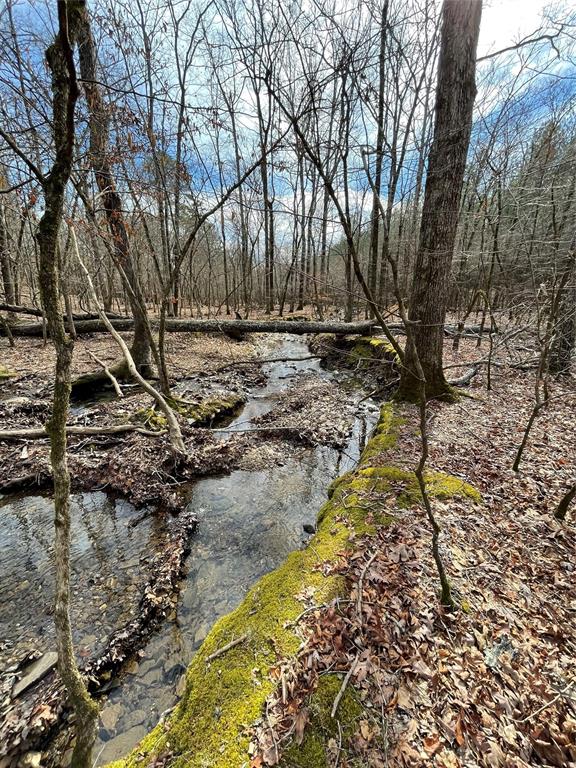770 Timber Creek Trails South Xl Property Photo 1