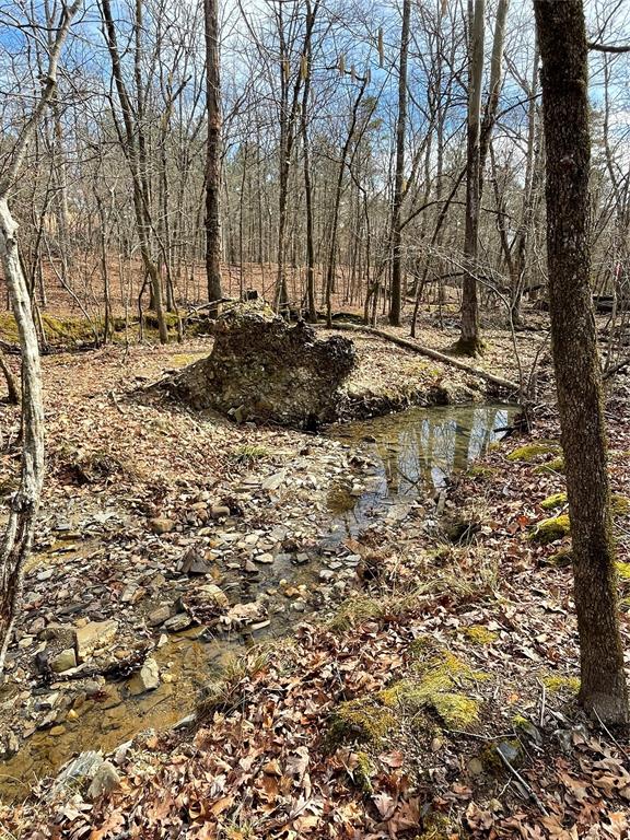 771 Timber Creek Trails South Xl Property Photo 1