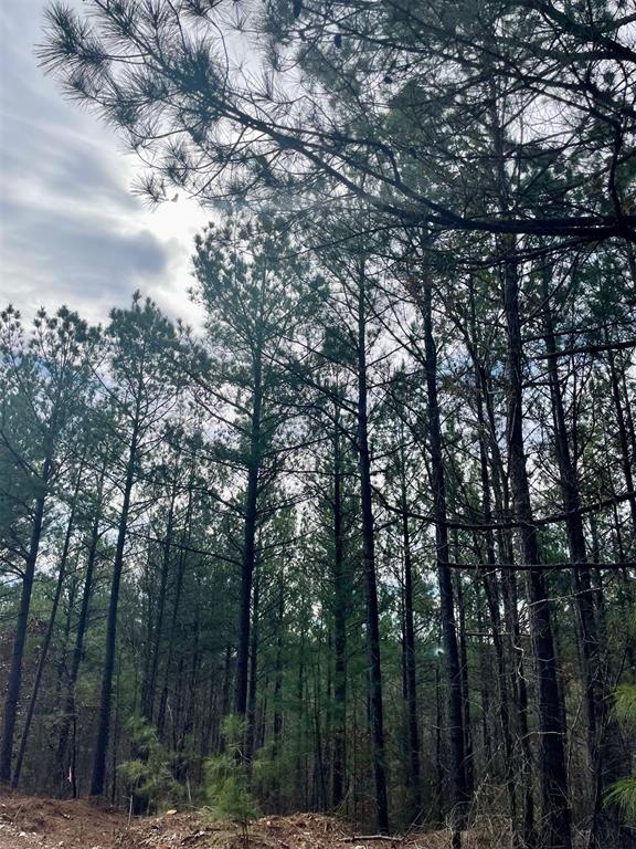 777 Timber Creek Trails South Xi Property Photo 1