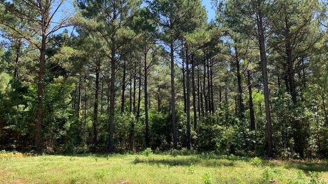 Lot 120 Property Photo